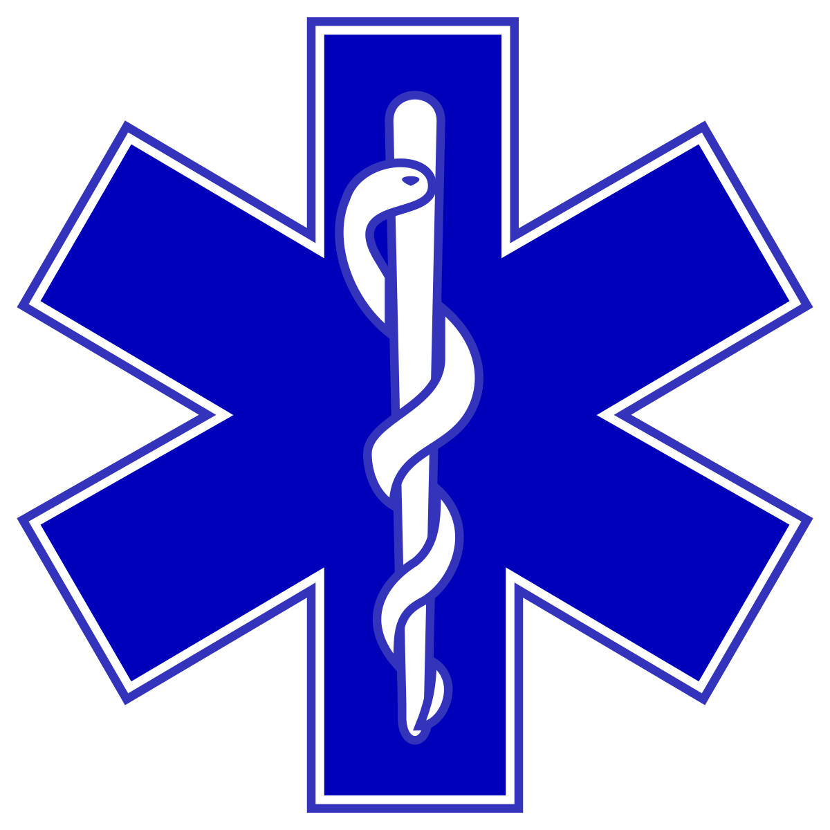 EMS STAR OF LIFE